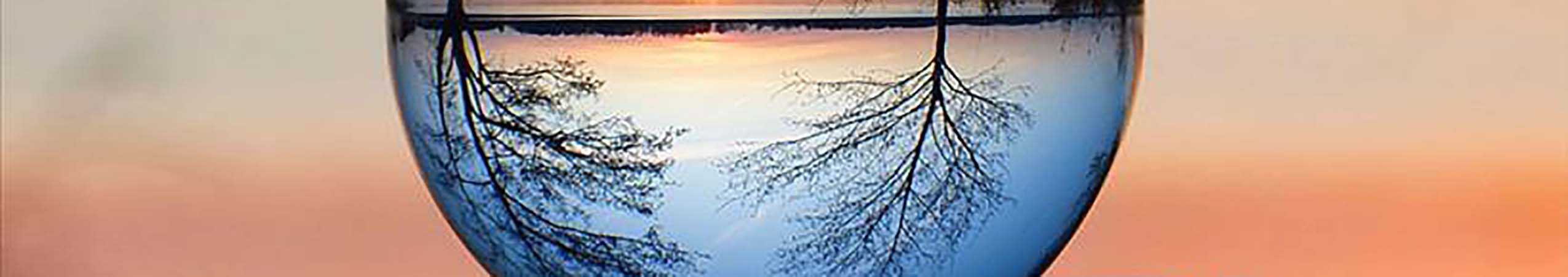 de wereld op zijn kop blog