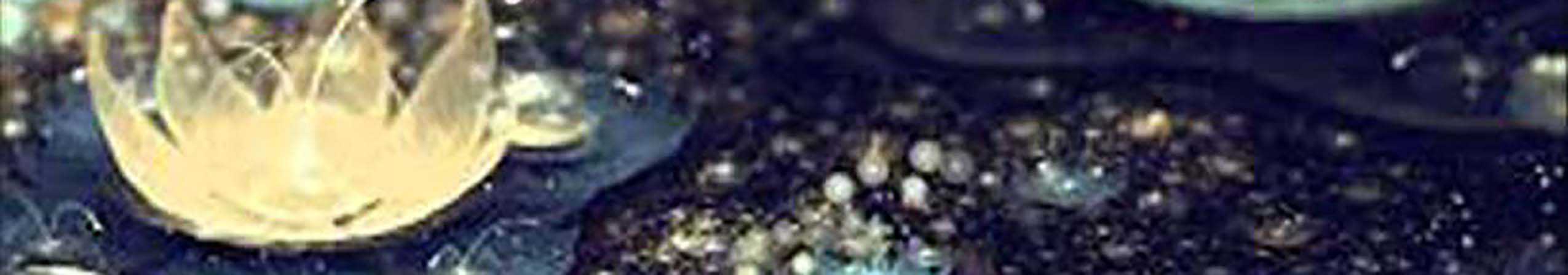 geboren verhalenvertellers blog