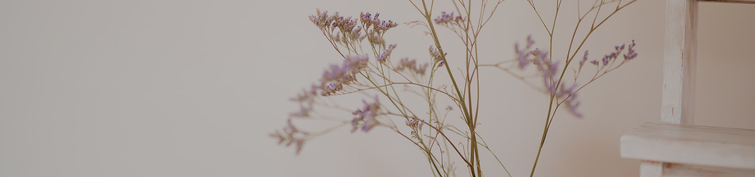 De lente: tijd voor een nieuw begin