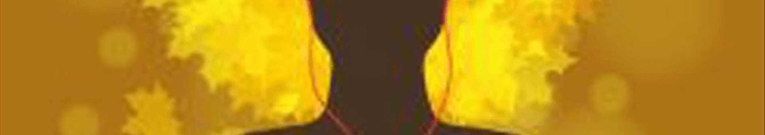 leven volgens je kernwaarden blog