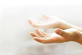 yogadreams mettatalk 1